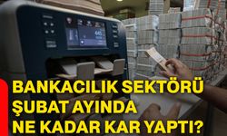 Bankacılık sektörü şubat ayında ne kadar kar yaptı?
