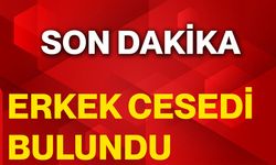 Erkek Cesedi Bulundu