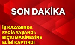 İş kazasında facia yaşandı: Bıçkı makinesine elini kaptırdı