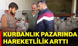 Kurbanlık pazarında hareketlilik arttı