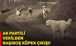 AK Partili vekilden başıboş köpek çıkışı!
