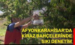 Afyonkarahisar’da Kiraz Bahçelerinde Sıkı Denetim