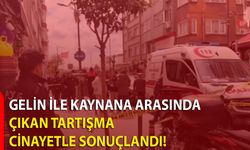 Gelin İle Kaynana Arasında Çıkan Tartışma Cinayetle Sonuçlandı!