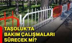 Taşoluk’ta bakım çalışmaları sürecek mi?