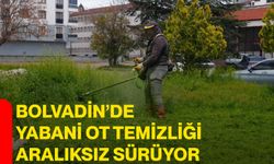 Bolvadin’de yabani ot temizliği aralıksız sürüyor