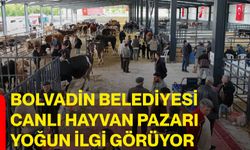 Bolvadin Belediyesi Canlı Hayvan Pazarı Yoğun İlgi Görüyor