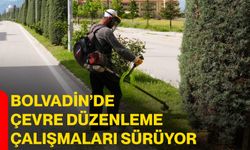 Bolvadin’de Çevre Düzenleme Çalışmaları Sürüyor