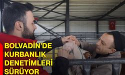 Bolvadin’de kurbanlık denetimleri sürüyor