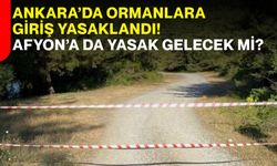 Ankara’da ormanlara giriş yasaklandı! Afyonkarahisar’da da yasak gelecek mi?
