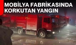 Mobilya Fabrikasında Korkutan Yangın