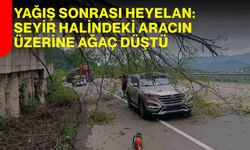 Yağış Sonrası Heyelan: Seyir Halindeki Aracın Üzerine Ağaç Düştü