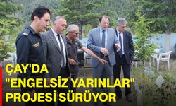 Çay'da "Engelsiz Yarınlar" projesi sürüyor
