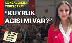Köksal çıkışı tepki çekti: “Kuyruk acısı mı var?”