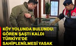 Köy Yolunda Bulundu: Gören Şaştı Kaldı: Türkiye'de Sahiplenilmesi Yasak