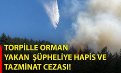 Torpille Orman Yakan Şüpheliye Hapis ve Tazminat Cezası!