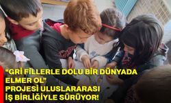 “Gri Fillerle Dolu Bir Dünyada Elmer Ol” Projesi Uluslararası İş Birliğiyle Sürüyor