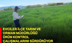 Evciler İlçe Tarım ve Orman Müdürlüğü Ürün Kontrol Çalışmalarını Sürdürüyor