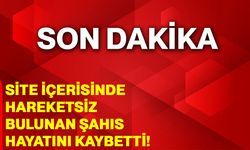Site içerisinde hareketsiz bulunan şahıs hayatını kaybetti