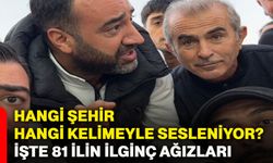 Hangi şehir hangi kelimeyle sesleniyor? İşte 81 ilin ilginç ağızları