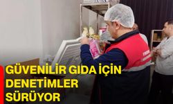 Güvenilir gıda için denetimler sürüyor