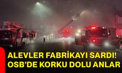 Alevler fabrikayı sardı! OSB’de korku dolu anlar