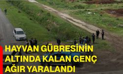 Hayvan gübresinin altında kalan genç ağır yaralandı
