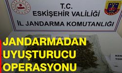 Jandarmadan uyuşturucu operasyonu