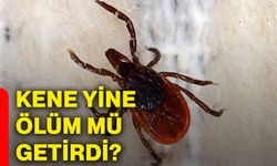 Kene yine ölüm mü getirdi?