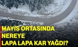 Mayıs ortasında nereye lapa lapa kar yağdı?