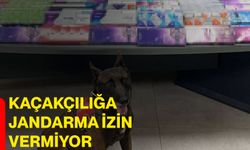 Kaçakçılığa jandarma izin vermiyor