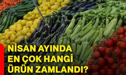Nisan ayında en çok hangi ürün zamlandı?