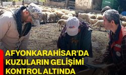 Afyonkarahisar’da kuzuların gelişimi kontrol altında