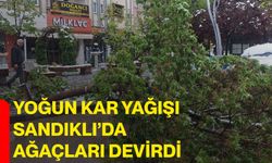 Yoğun Kar Yağışı Sandıklı’da Ağaçları Devirdi