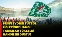 Profesyonel futbol liglerinde hangi takımlar yükseldi, hangileri düştü?