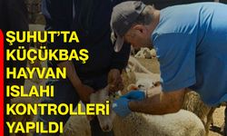 Şuhut’ta küçükbaş hayvan ıslahı kontrolleri yapıldı