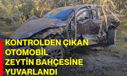 Kontrolden çıkan otomobil zeytin bahçesine yuvarlandı