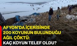 Afyon’da içerisinde 200 koyunun bulunduğu ağıl çöktü: Kaç koyun telef oldu?