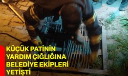 Küçük Patinin Yardım Çığlığına Belediye Ekipleri Yetişti