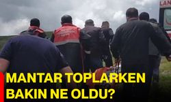 Mantar toplarken bakın ne oldu?