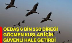 OEDAŞ 6 bin 250 direği göçmen kuşlar için güvenli hale getirdi