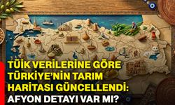 TÜİK verilerine göre Türkiye’nin tarım haritası güncellendi: Afyonkarahisar detayı var mı?