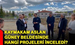 Kaymakam Aslan Güney Beldesinde hangi projeleri inceledi?