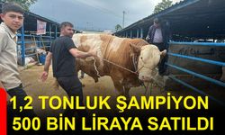 1,2 Tonluk Şampiyon 500 bin liraya satıldı