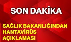 Sağlık Bakanlığından hantavirüs açıklaması