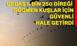 OEDAŞ 6 Bin 250 direği göçmen kuşlar için güvenli hale getirdi