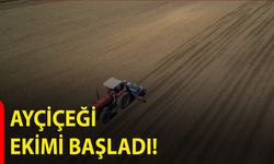 Ayçiçeği Ekimi Başladı!
