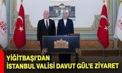 Yiğitbaşı’dan İstanbul Valisi Davut Gül’e Ziyaret