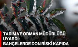 Tarım ve Orman Müdürlüğü Uyardı:  Bahçelerde Don Riski Kapıda