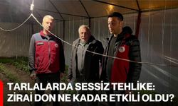 Tarlalarda Sessiz Tehlike: Zirai Don Ne Kadar Etkili Oldu?