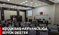 Küçükbaş Hayvancılığa Büyük Destek